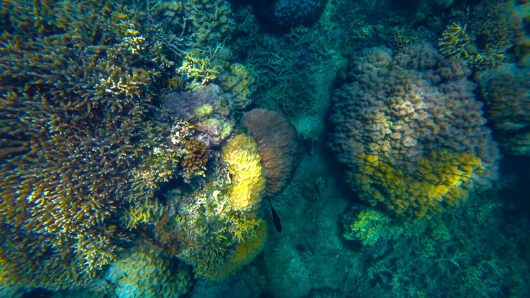 Sequence 01.00_34_15_24.Still003