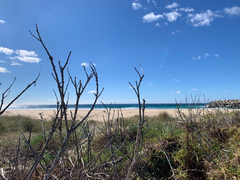 Photo 12-8-19, 11 01 55 am